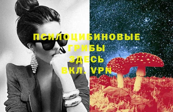 2c-b Арсеньев